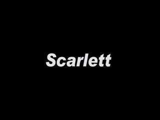 Scarlett medias de red brick pared