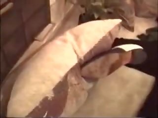 Ročník mezirasový velký sýkorka ryšavý